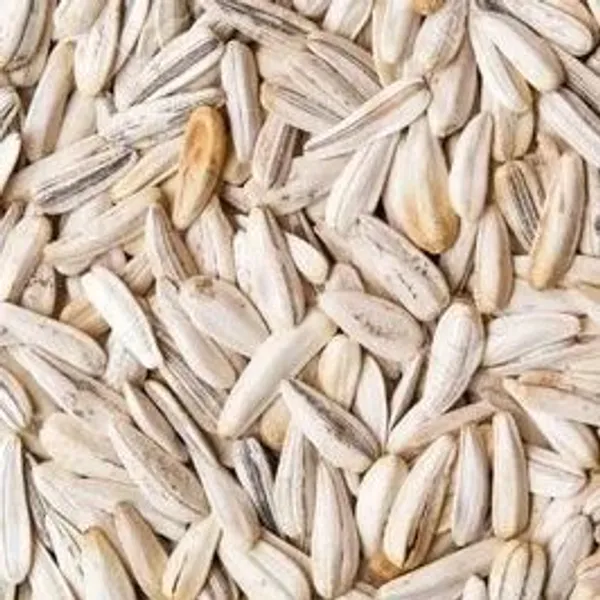 e12_Premium_Sunflower_Seeds_Pack_-_Pack_of_3