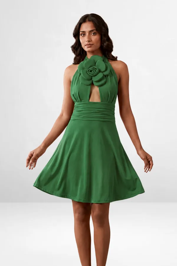 Rosette_Halter_Skater_Dress