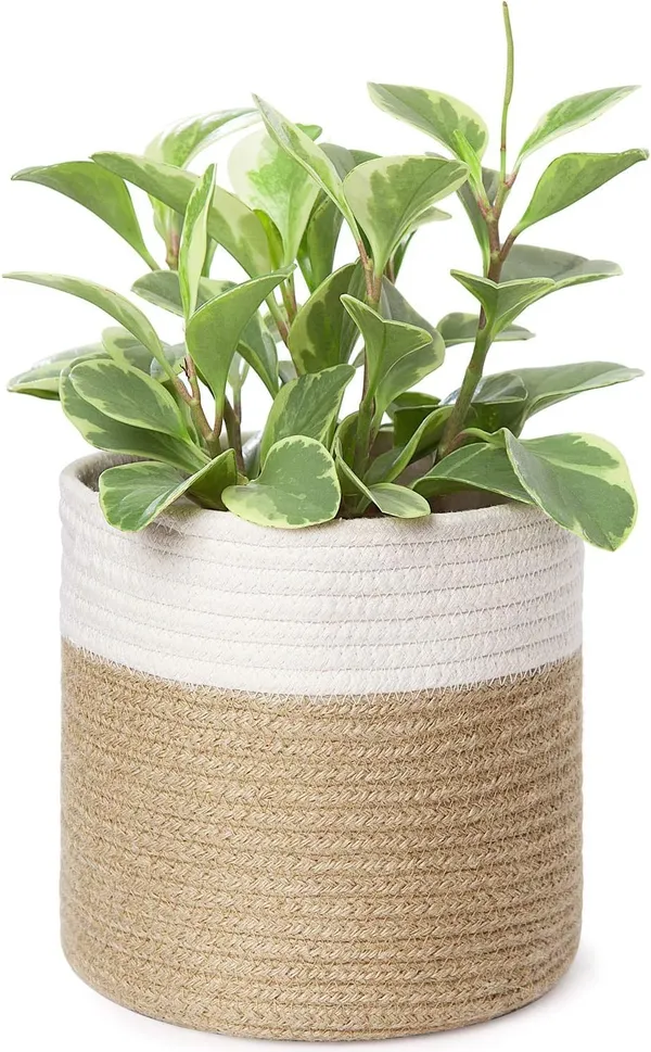 Cotton_Rope_Plant_Basket