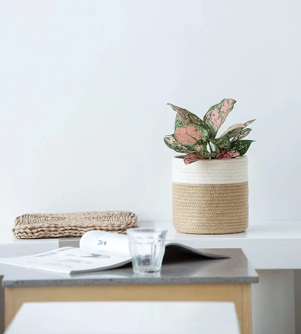 Cotton_Rope_Plant_Basket