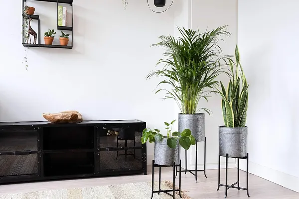 Metal_Plant_Stand_With_Pot