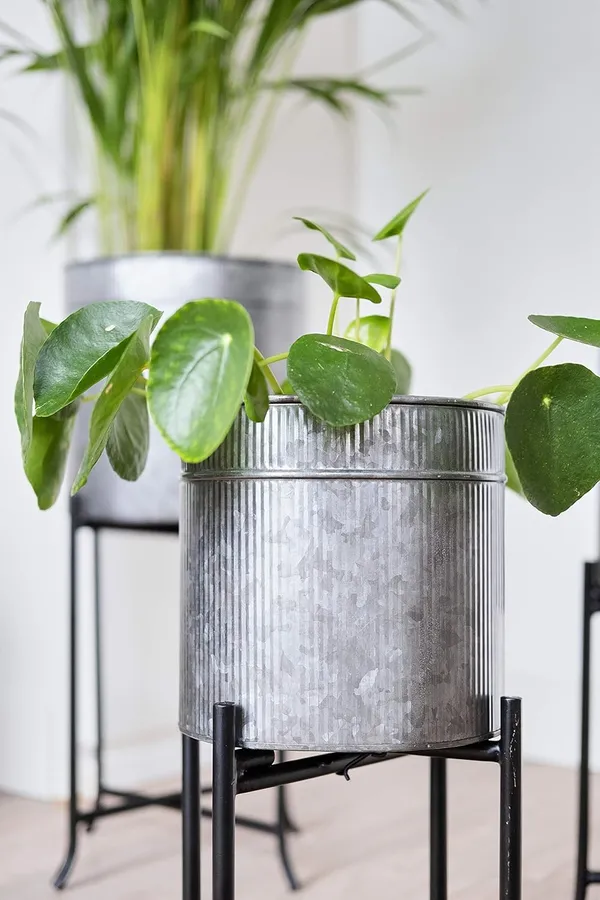 Metal_Plant_Stand_With_Pot