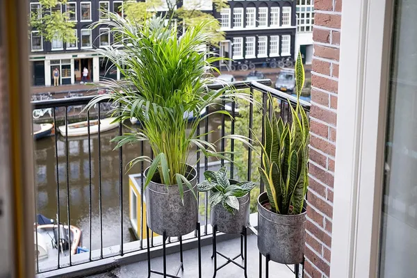 Metal_Plant_Stand_With_Pot