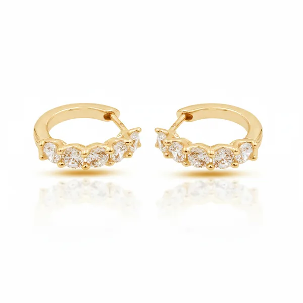 Hani_Golden_Diamond_Earrings