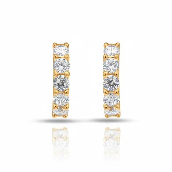 Hani_Golden_Diamond_Earrings