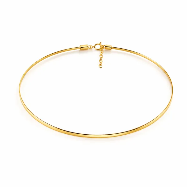 Jina_Golden_Anklet