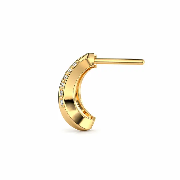 Jeri_Golden_Earrings