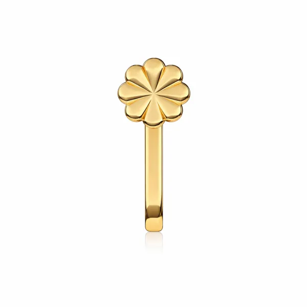 Aqia_Golden_Nose_Pin