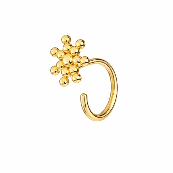Alra_Golden_Nose_Pin