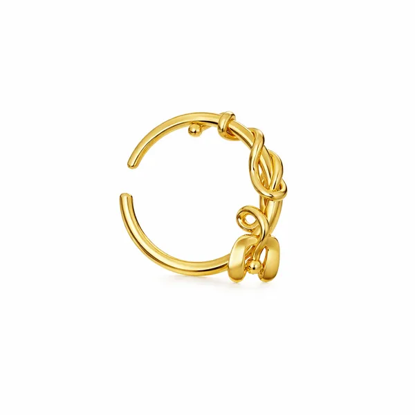 Adea_Golden_Nose_Pin