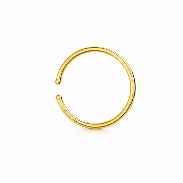 Aemi_Golden_Nose_Pin
