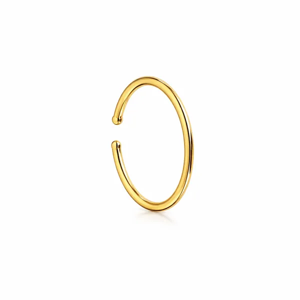 Aemi_Golden_Nose_Pin