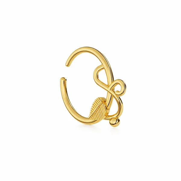 Akea_Golden_Nose_Pin