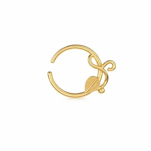 Akea_Golden_Nose_Pin