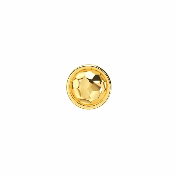 Evia_Golden_Nose_Pin