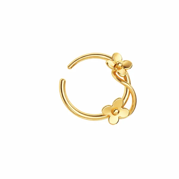 Drea_Golden_Nose_Pin