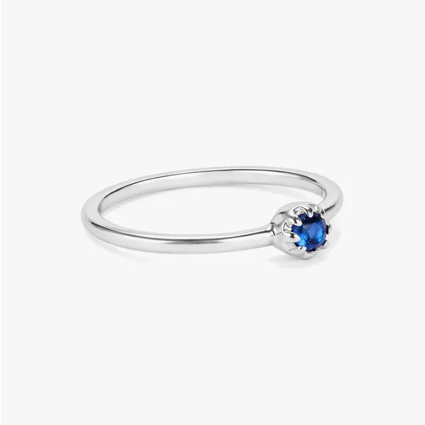 Mia_Silver_Apatite_Adjustable_Ring