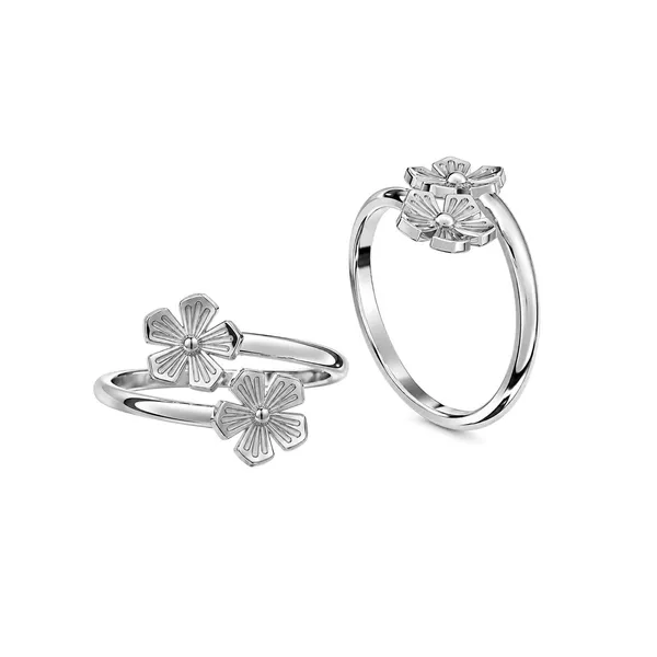 Wera_Silver_Toe_Ring