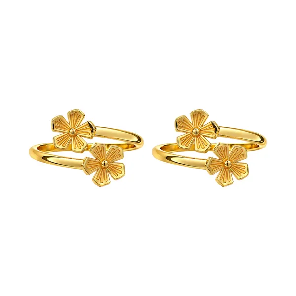Wera_Golden_Toe_Ring
