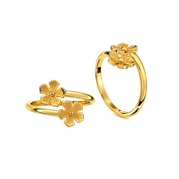 Wera_Golden_Toe_Ring