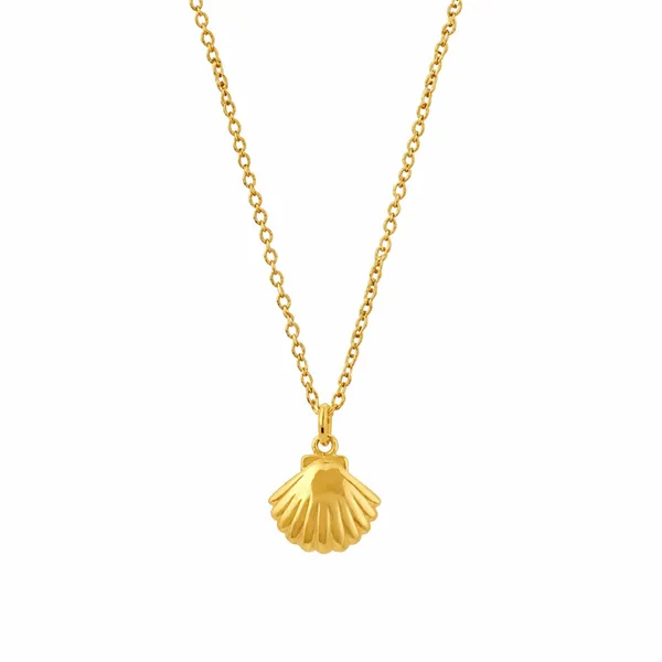 Ava_Golden_Shell_Necklace