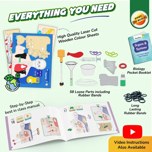 Smartivity_Human_Anatomy_Model_Educational_Learning_Kit_With_Organs_And_Systems