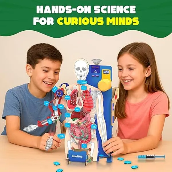 Smartivity_Human_Anatomy_Model_Educational_Learning_Kit_With_Organs_And_Systems