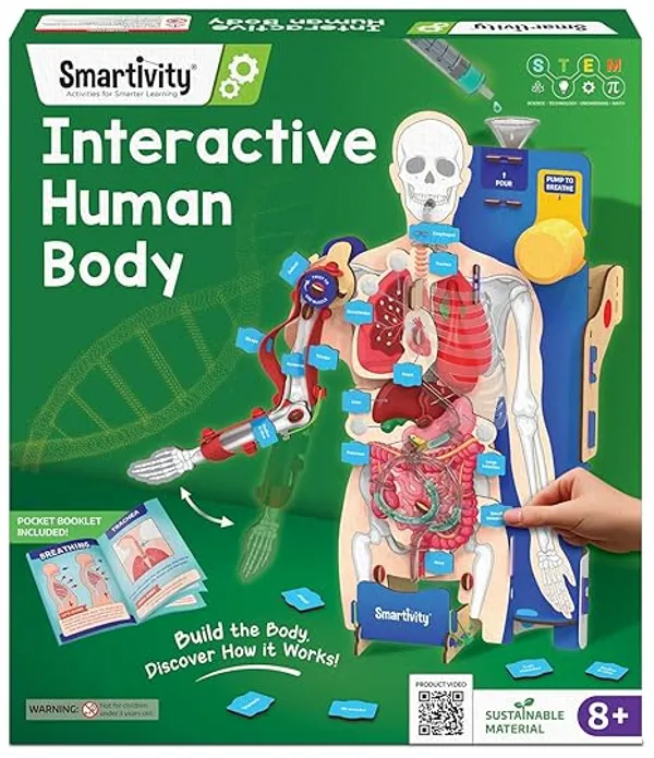 Smartivity_Human_Anatomy_Model_Educational_Learning_Kit_With_Organs_And_Systems