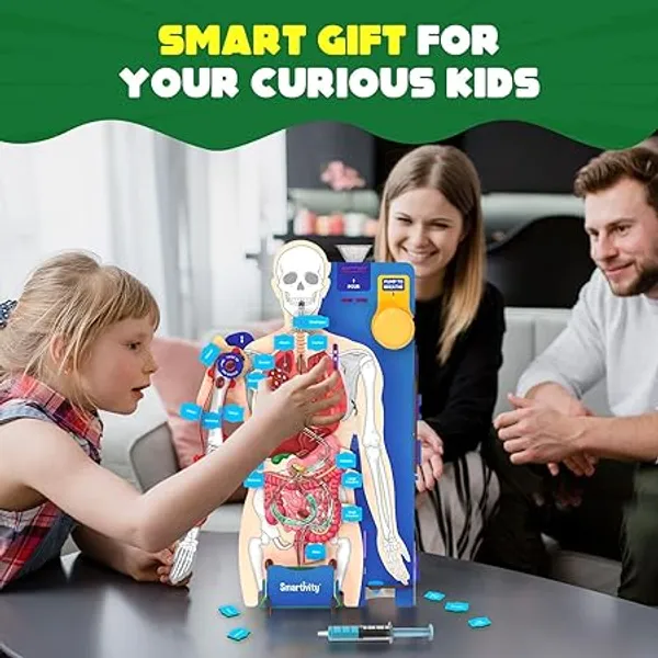 Smartivity_Human_Anatomy_Model_Educational_Learning_Kit_With_Organs_And_Systems