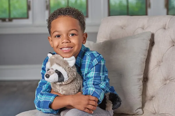 Wild_Republic_Grey_Plush_Raccoon_Soft_Toy_For_Kids