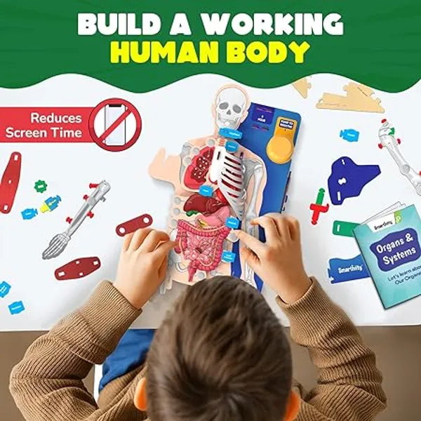 Smartivity_Human_Anatomy_Model_Educational_Learning_Kit_With_Organs_And_Systems