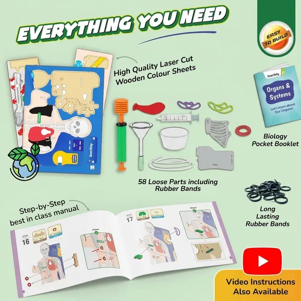 Smartivity_Human_Anatomy_Model_Educational_Learning_Kit_With_Organs_And_Systems