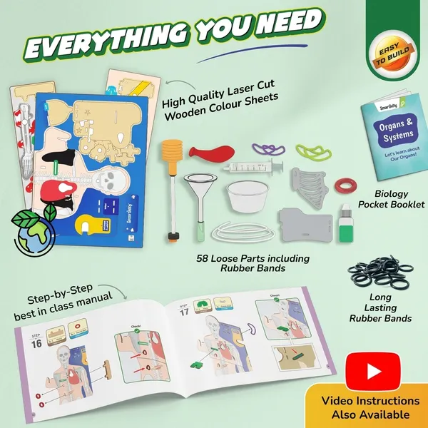 Smartivity_Human_Anatomy_Model_Educational_Learning_Kit_With_Organs_And_Systems