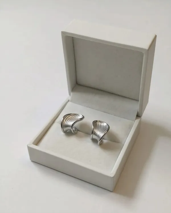 Elegant_Silver_Teardrop_Wave_Earrings_For_Women