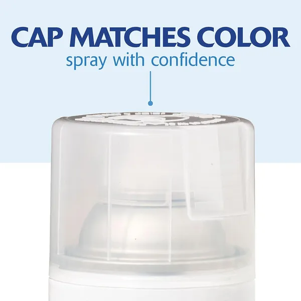 Rust-Oleum_Painter'S_Touch_Gloss_Clear_Acrylic_Spray_Paint_340G