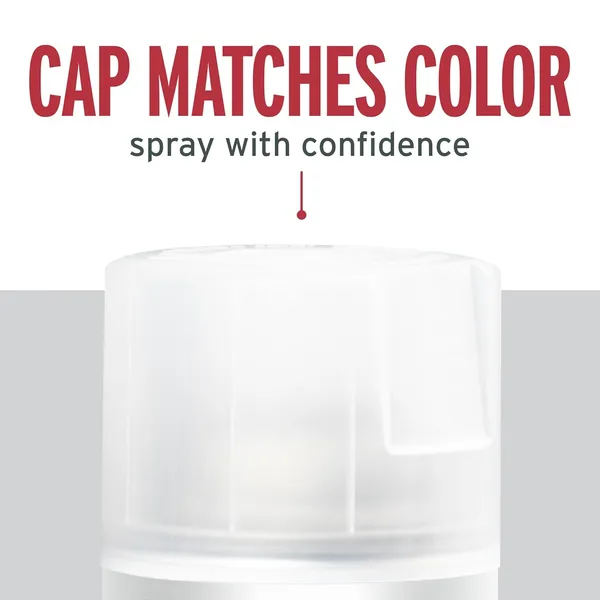 Rust-Oleum_Stops_Rust_Protective_Enamel_Spray_Paint_Satin_Clear_340G