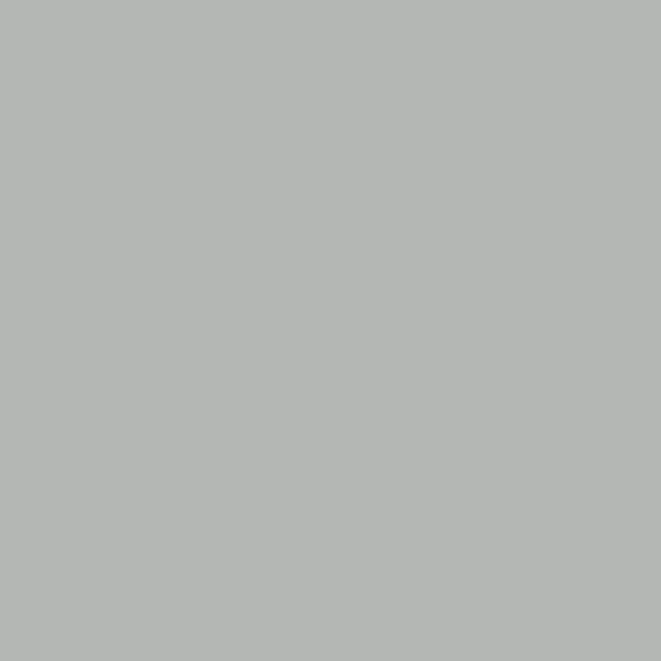 Rust-Oleum_Stops_Rust_Universal_Bonding_Primer_Spray_Paint_Gray_340G