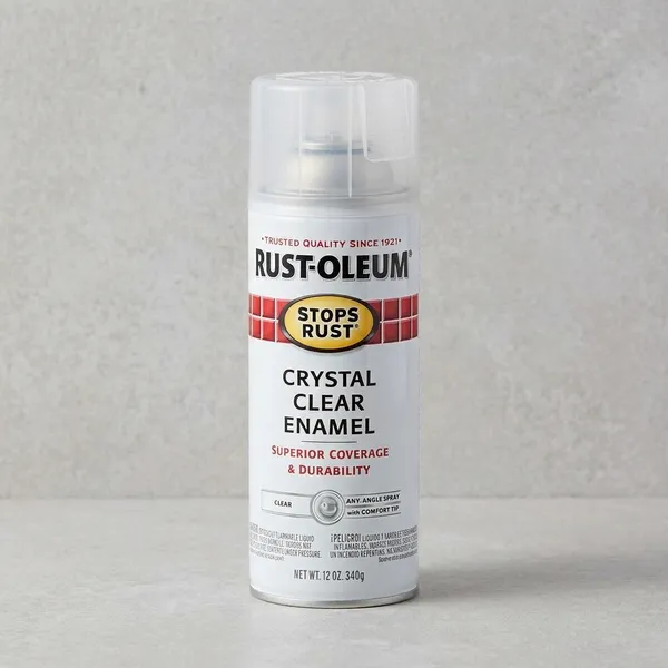 Rust-Oleum_Stops_Rust_Protective_Enamel_Spray_Paint_Gloss_Clear_340G