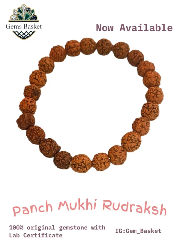 5_Mukhi_Rudraksh_Bracelet_100%_original_gemstone_with_lab_certificate__