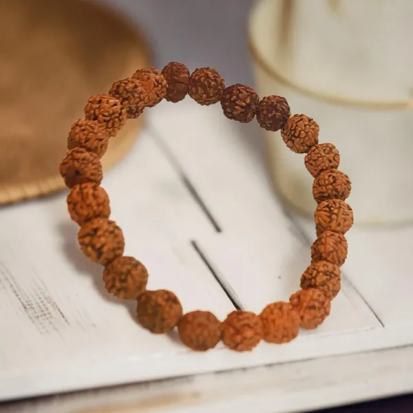 5_Mukhi_Rudraksh_Bracelet_100%_original_gemstone_with_lab_certificate__
