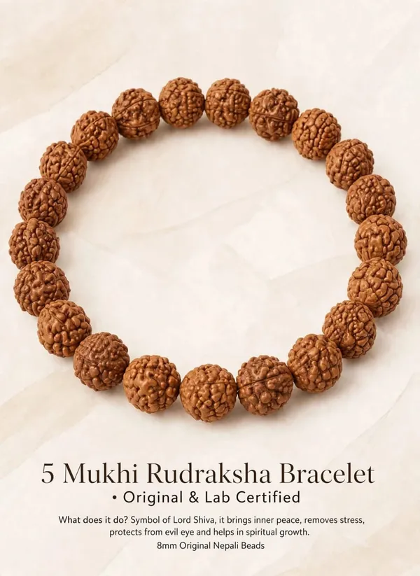 5_Mukhi_Rudraksh_Bracelet_100%_original_gemstone_with_lab_certificate__