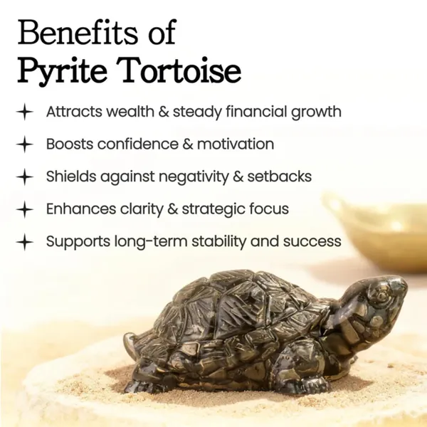 Pyrite_Turtle_for_Abundance_&_Money_flow_Decorative_Showpiece