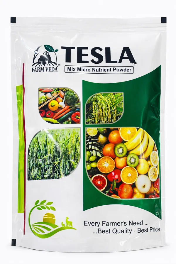Tesla_Mix_Zn_Fe_Mn_Cu_B_Mo_Micronutrient_Fertilizer