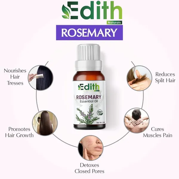 Rosemary_Oil_For_Hair_Skin_Aromatherapy_100_Pure_Natural_No_Fragrance_No_Color_15_Ml
