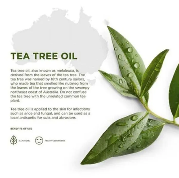 Tea_Tree_Essential_Oils_For_Skin_Hair_Face_Acne_Care_100_Pure_Natural_And_Undiluted_Therapeutic_Grade_Essential_Oil_Tea_Tree_15ml