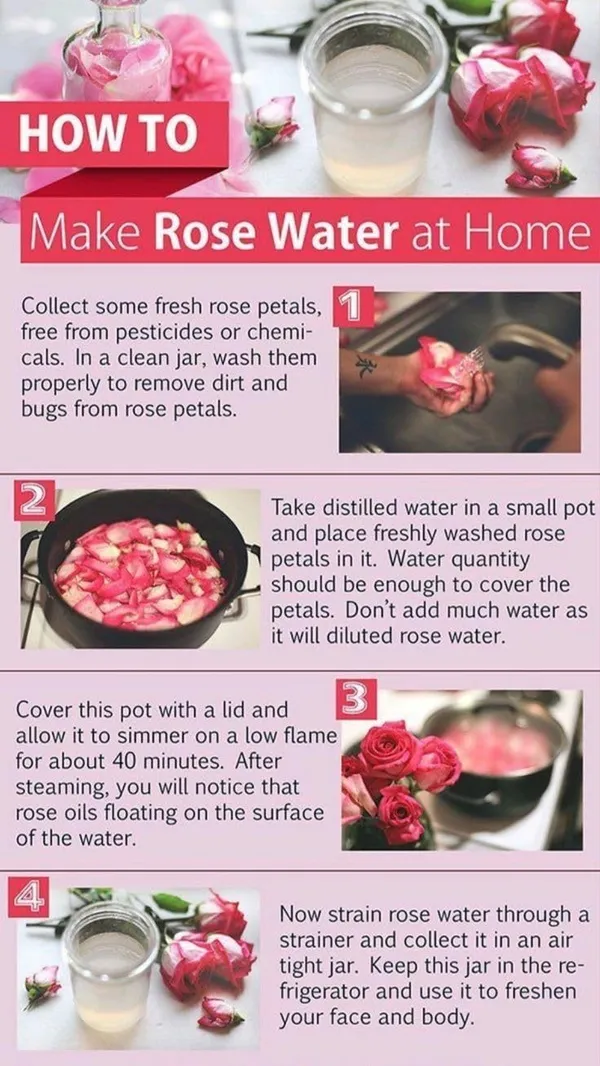 Edith_Naturals_Gulabjal_Blossom_With_Radiance_Pure_Rose_Water_Natural_Toner_And_Hydrating_Mist_For_Skin_And_Hair_200_Ml_-_Pack_Of_2