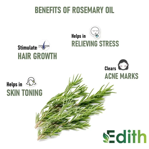 Edith_Naturals_Rosemary_Essential_Oil_100_Pure_Undiluted_Therapeutic_Grade_Rosemary_Oil_For_Stimulating_Scalp_Treatment_For_Healthy_Hair_Growth_Skin_Muscle_Joints