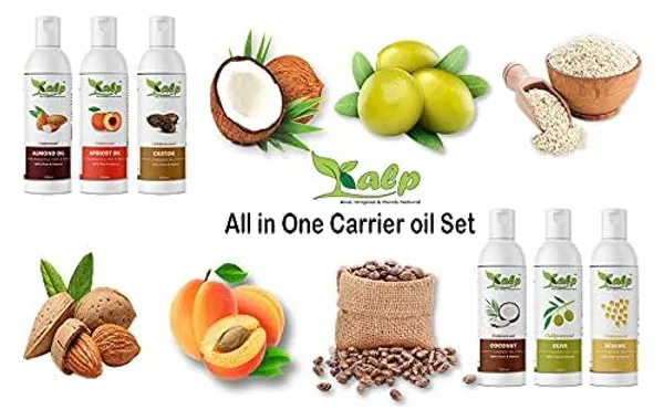 Pack_Of_6_Carrier_Oils_100ml_Each_Castor_Oil_Almond_Oil_Sesame_Oil_Apricot_Oil_Coconut_Oil_Olive_Oil_600ml