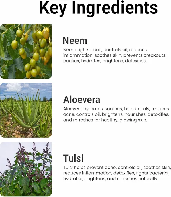 Edith_Naturals_Neem_Tulsi_Face_Wash_Deep_Clean_Brightens_Skin_For_All_Skin_Types_50_Gm_Pack_Of_3
