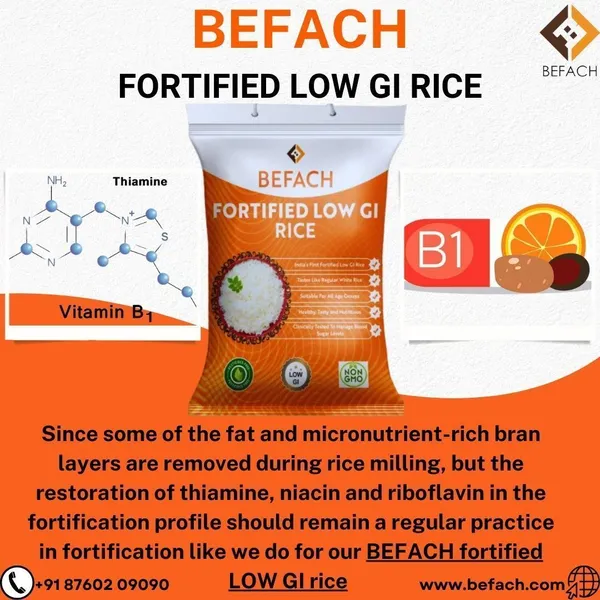 Befach_Fortified_Low_Gi_White_Rice_For_Sugar_Free_Weight_Loss_Everyday_Rice_(Medium_Grain,_Polished)_(4.5_Kg)